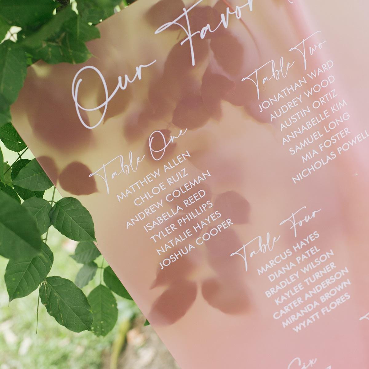 Pink Wedding Table Plan | UV Printed Guest Seating l Acrylic wedding sign